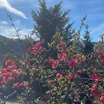 Apartament & Piscine, Sejour Cosy Et Detente Famille-amis *