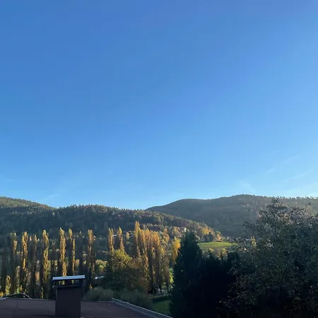 L'impasse Premium, Spa, Cheminée Et Piscine En été Apartamento Munster (Haut-Rhin)