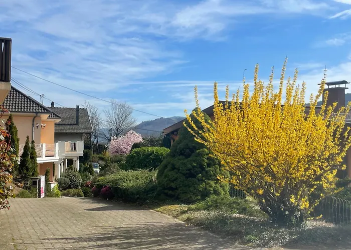 Apartmán & Piscine, Sejour Cosy Et Detente Famille-amis