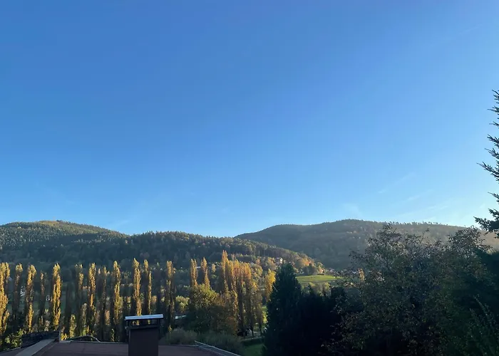 & Piscine, Sejour Cosy Et Detente Famille-amis Apartmán Munster (Haut-Rhin)